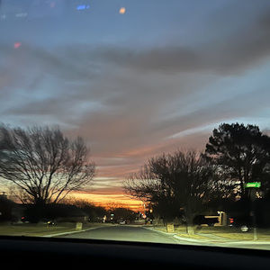 Meet your Posher, Eleanor